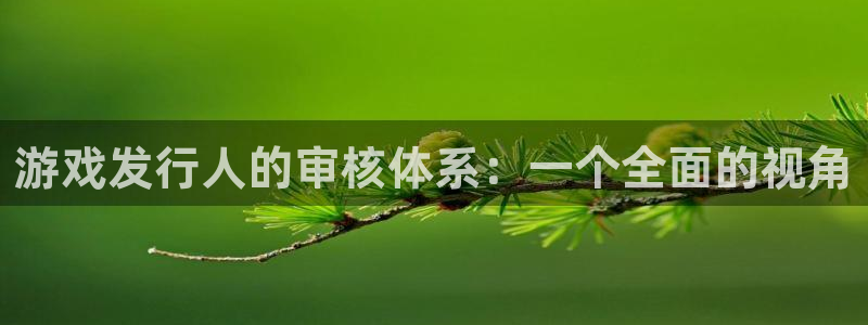 广州亿万28投资：游戏发行人的审核体系：一个全面的视角