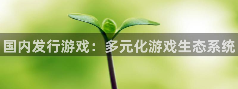 亿万28集团