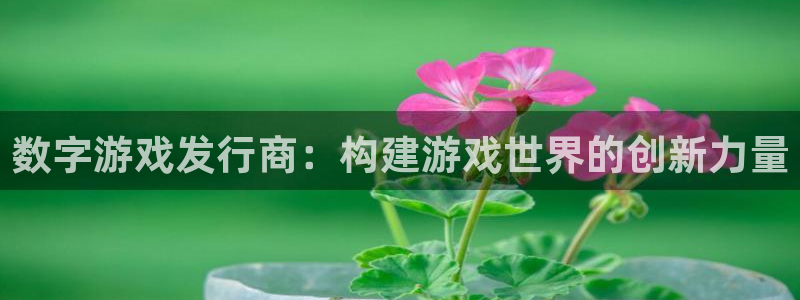 亿万28官网登录注册账号密码：数字游戏发行商：构建游戏世界的创新力量