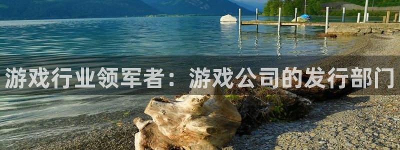 亿万28子文化：游戏行业领军者：游戏公司的发行部门