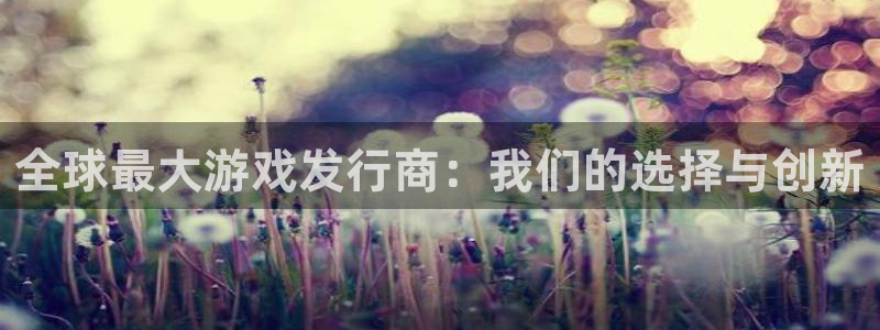亿万28官网注册方法：全球最大游戏发行商：我们的选择与创新