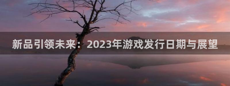 亿万28平台登录入口官网：新品引领未来：2023年游戏发行日期与展望