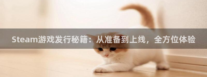 亿万28官网注册平台官网：Steam游戏发行秘籍：从准备到上线，全方位体验