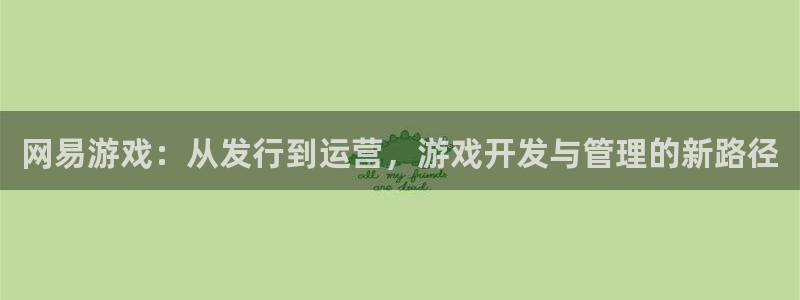 亿万28官网官网注册账号怎么注册：网易游戏：从发行到运营，游戏开发与管理的新路径