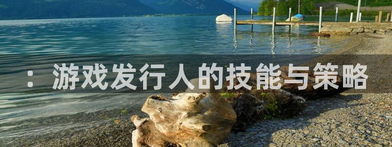 亿万28官网注册方法：：游戏发行人的技能与策略